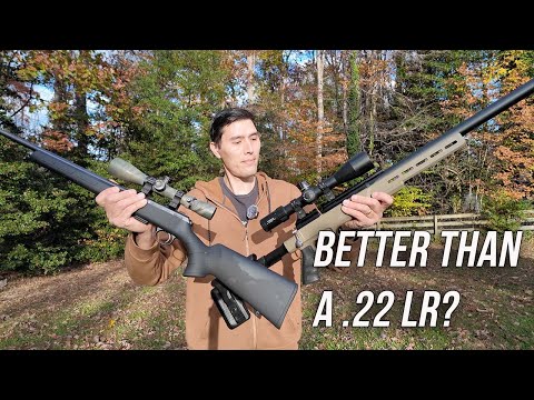 Air Rifle vs Rimfire Shootout: Is a Modern Air Rifle Better Than a .22 LR?