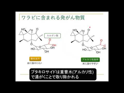 「苦味と旨味」食べ物の味を化学する【農芸化学コース】農林海洋科学部