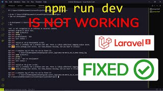 npm run dev Is Not Working In Laravel 8 - Error Fixed