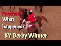 Rich Strike Punched on the Track - what actually happened? Kentucky derby 2022 winner