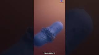 How drugs are absorbed in the body. (pill 💊 dissolve) #drugs #pill #dissolve