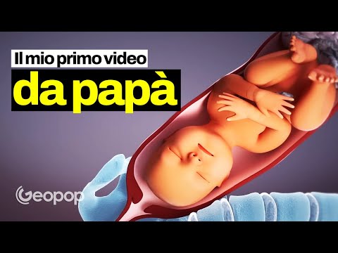 Come nasce un essere umano: l'incredibile percorso dalla fecondazione al parto