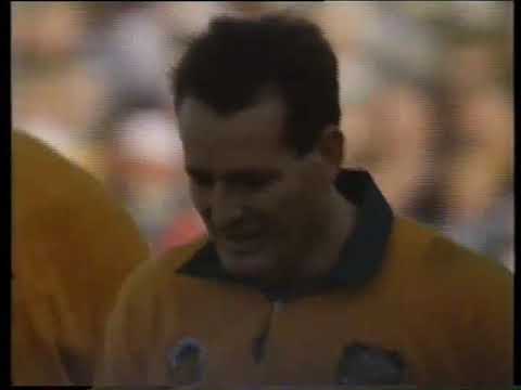 1991 Rugby World Cup Final