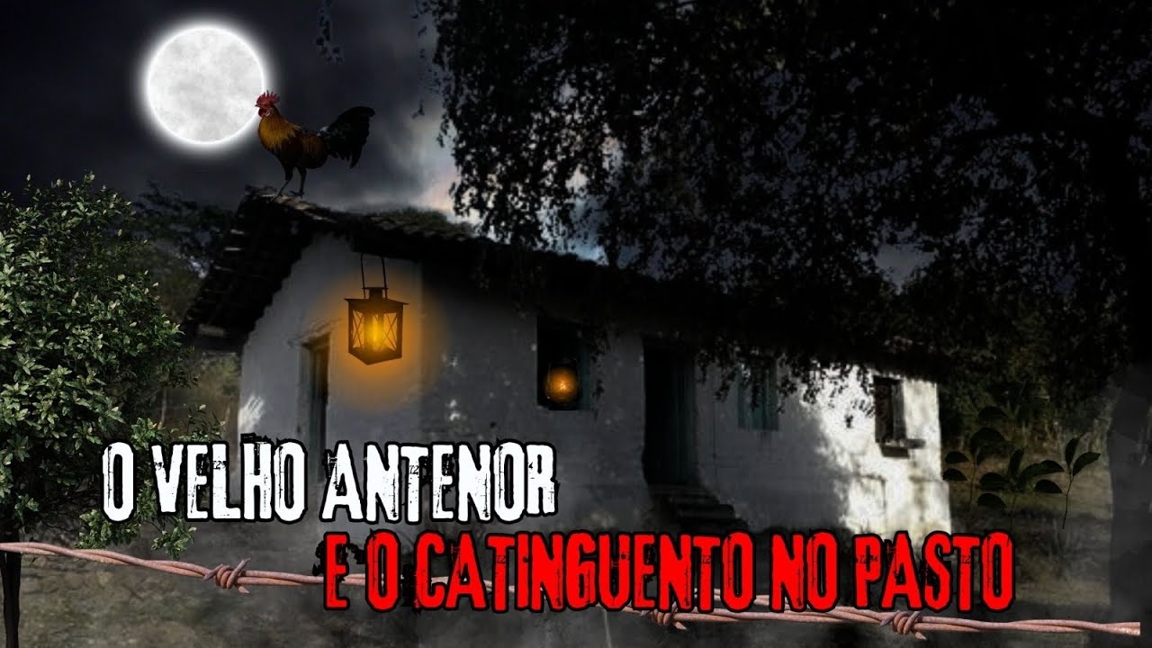 Me Escondi Atrás Da Árvore E Vi Ele Se Transformar + Melhores de Agosto Parte 1