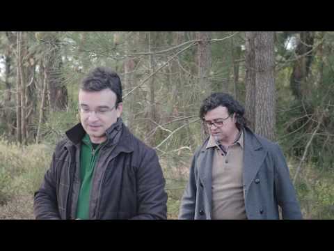 O pinhal e o Nemátodo da Madeira do Pinheiro