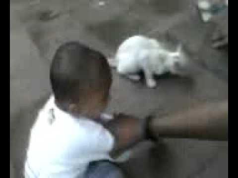 Soham fights with cat