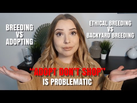 Why I’m Buying, NOT Adopting My Puppy (Adopt Don’t Shop, Backyard Breeders) + Puppy Supply Haul!