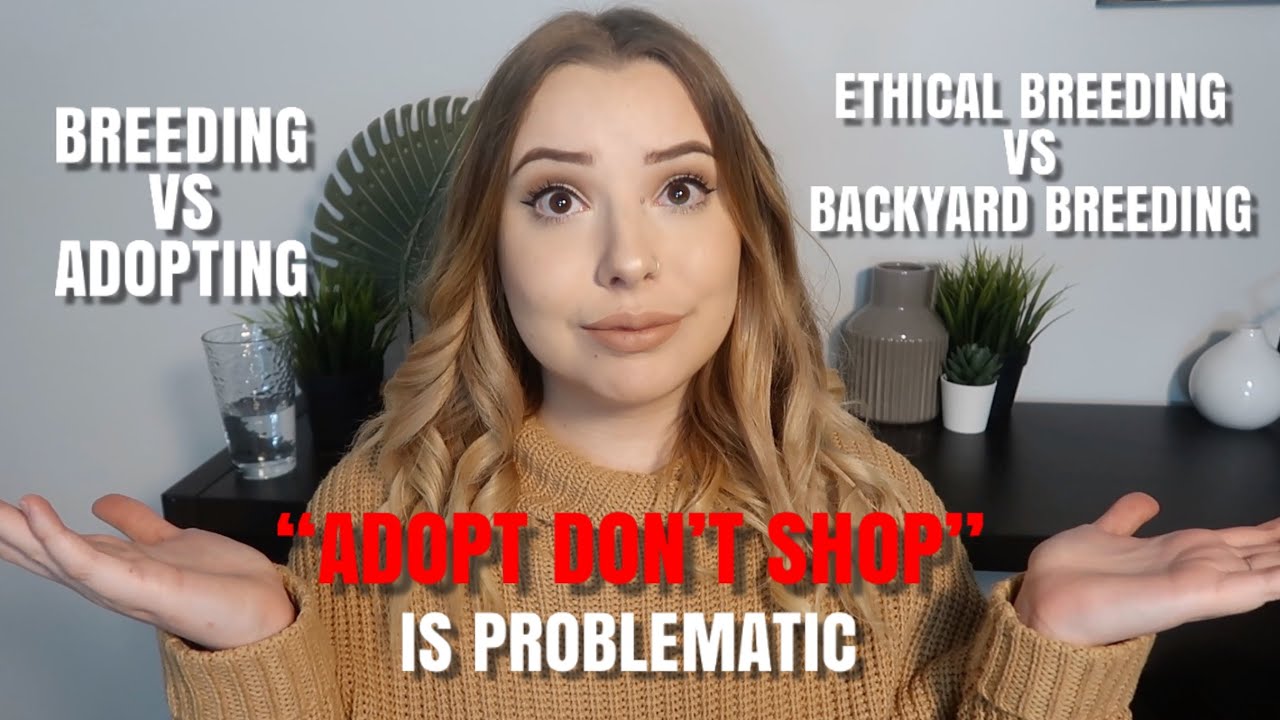 Why I’m Buying, NOT Adopting My Puppy (Adopt Don’t Shop, Backyard Breeders) + Puppy Supply Haul!