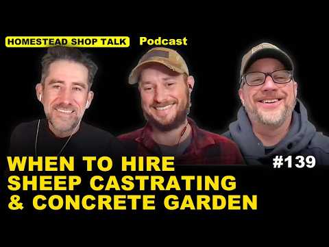 When to Hire, Castrate Sheep & Concrete Garden Beds/ Ep. 139