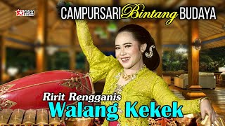Download lagu WALANG KEKEK - Ririt Rengganis -  Musik Video #dasastudio mp3