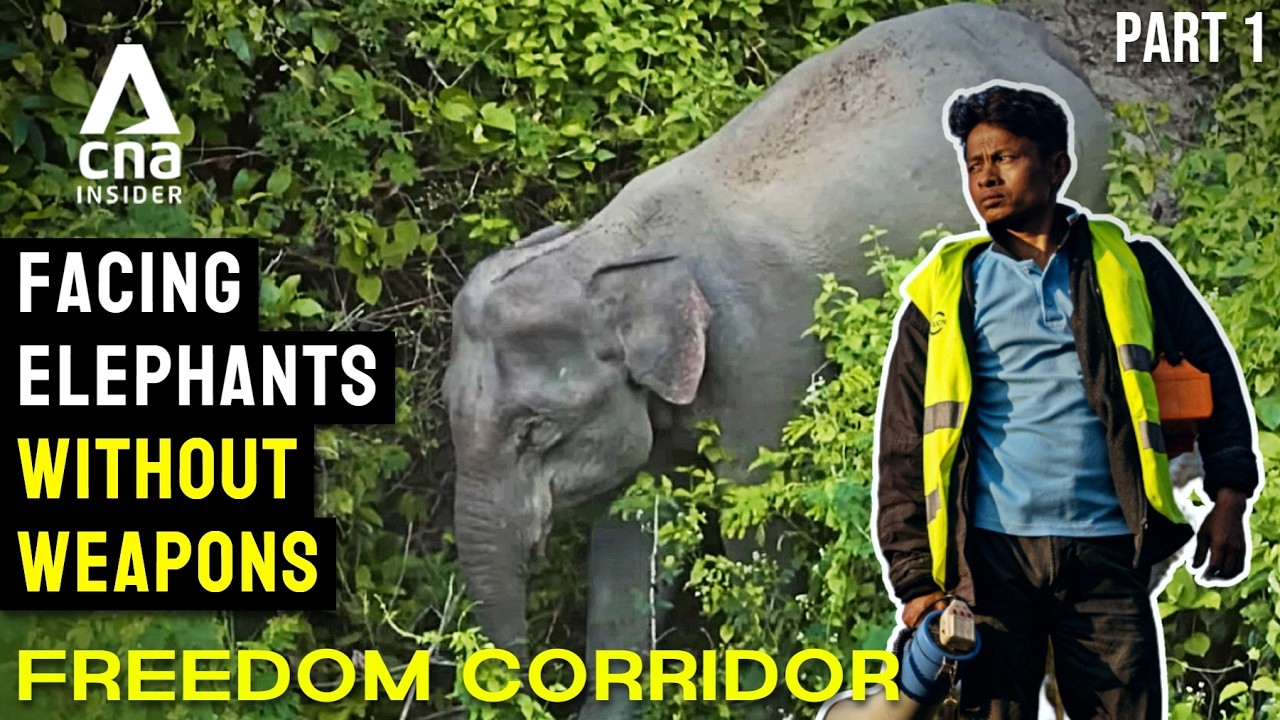 The Freedom Corridor Ep1