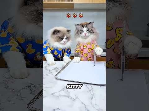 Il essaie de piéger un insecte… mais la fin est totalement inattendue 😲🪲~#ytshorts #shorts