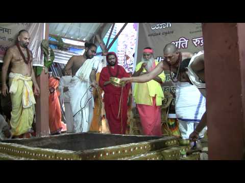 SGS Purnahuti 11/17/2010