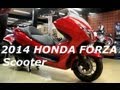 2014 HONDA FORZA 300 Scooter - Consumer ...