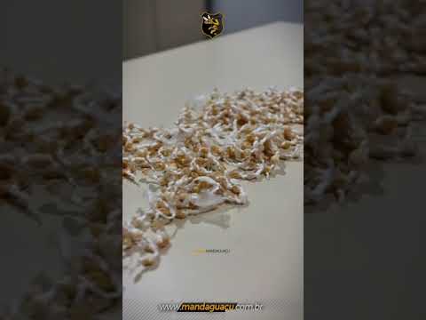 Polícia Militar de Mandaguaçu realiza prisão de homem com 600 pedras de Crack