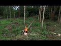 BMF TRAILER