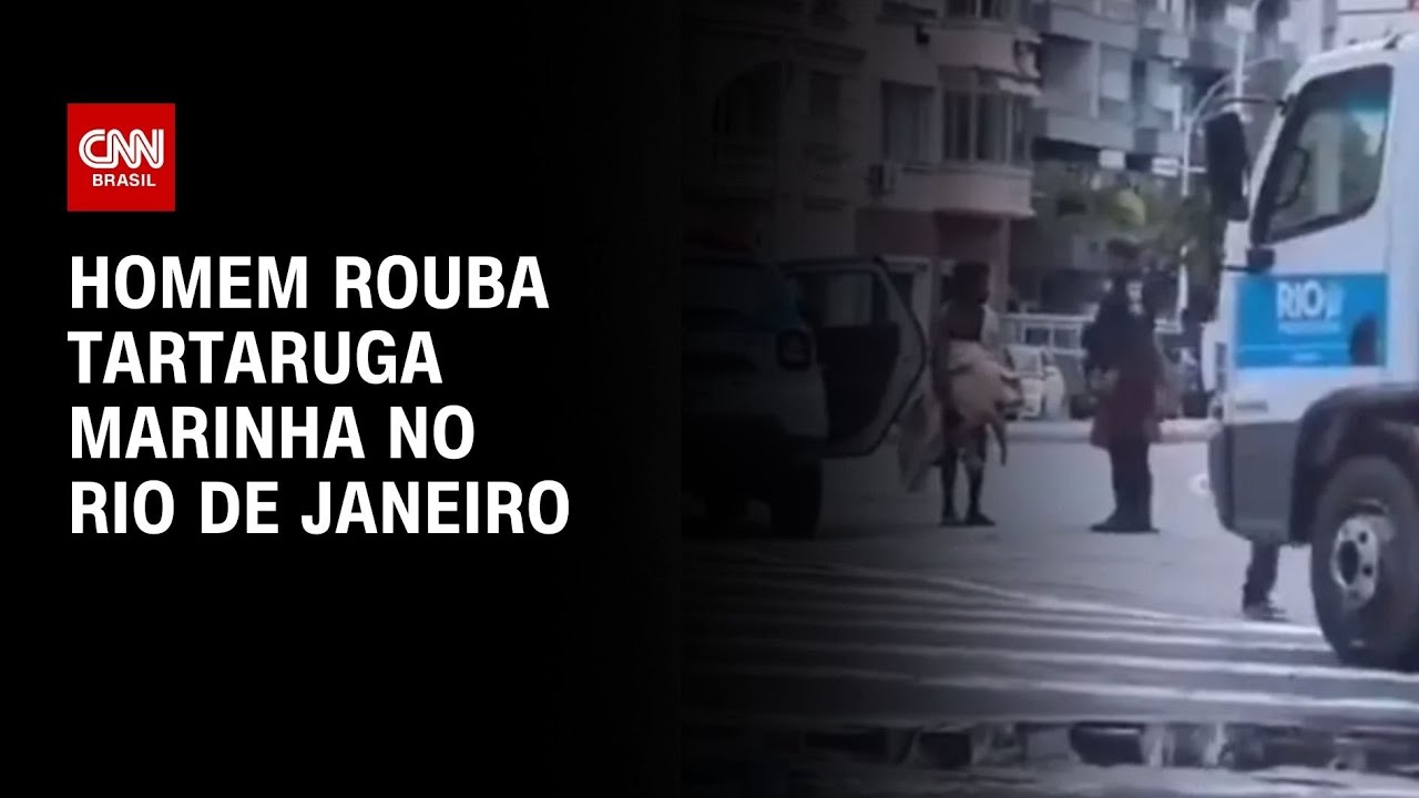 Homem rouba tartaruga marinha no Rio de Janeiro | CNN NOVO DIA