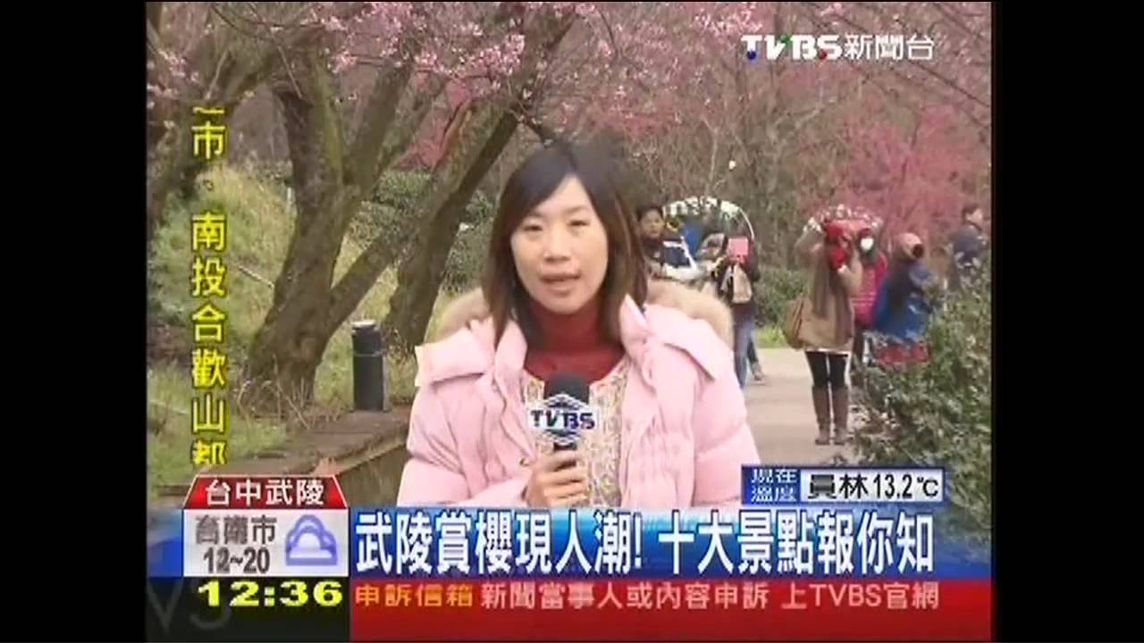武陵賞櫻現人潮！　十大景點報你知