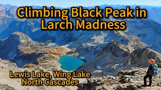 Experience Black Peak Climbing in Larch Madness Season | Silent Hiking