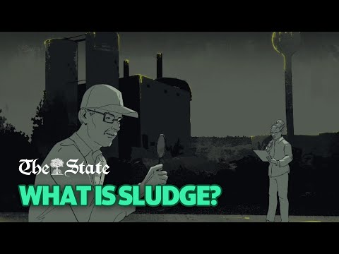 What Is Sludge?