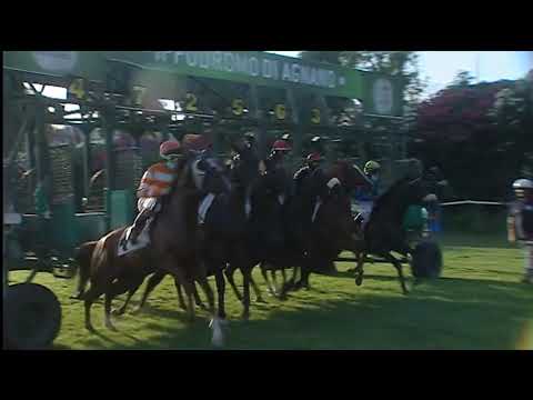 Galoppo 29/07/2020 - 2ª corsa