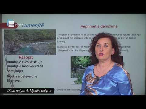 Dituri natyre 4 - Mjedisi natyror