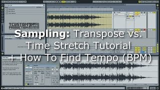 Sampling Tutorial: Transpose vs. Time Stretch + How To Find Tempo (BPM) | Ableton Live, Sample Beats
