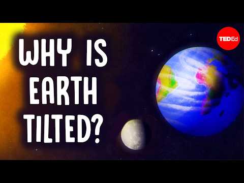 One big reason that life on Earth exists - Elise Cutts