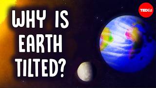 One big reason that life on Earth exists - Elise Cutts