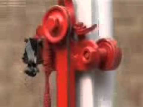 Indian National Flag..innovative hoisting  by Sagir Khan of Greater Noida..flowers fall on Tiranga