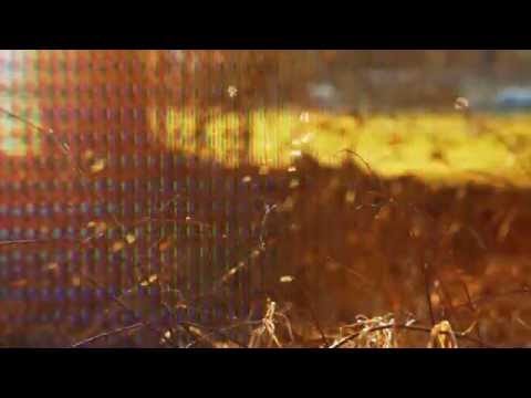 Essáy ft Rhian Sheehan - Morning Mountain (Official)