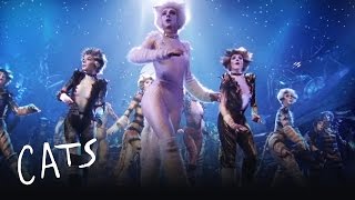The Jellicle Ball | Cats the Musical