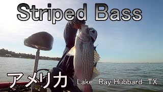 Lake rayhubbard  11 /14 /21 テキサス州レイハーバードレイク