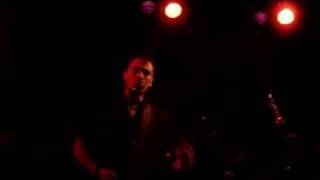 Gossos al festinoval