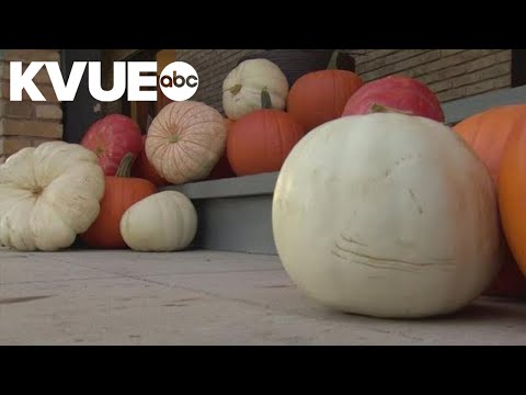 Dallas mom starts business decorating porches for Halloween and fall