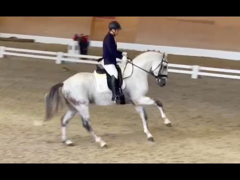 CDIYH Madrid - Eloi Morgado & Lizarran - 6yo FINAL