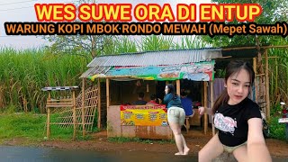 Download lagu VIRAL WARUNG KOPI MBOK RONDO || jarang dientup tawon mp3 Download lagu VIRAL WARUNG KOPI MBOK RONDO || jarang dientup tawon mp3