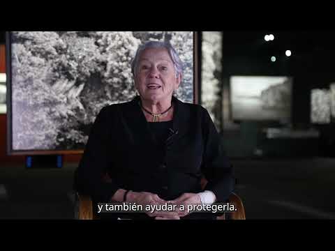 Llega a Madrid 'Amazônia' de Sebastiao Salgado, un viaje al corazón de la selva amazónica