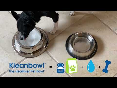 The Kinn Kleanbowl: How to Keep Your Pet's Food Clean and Healthy