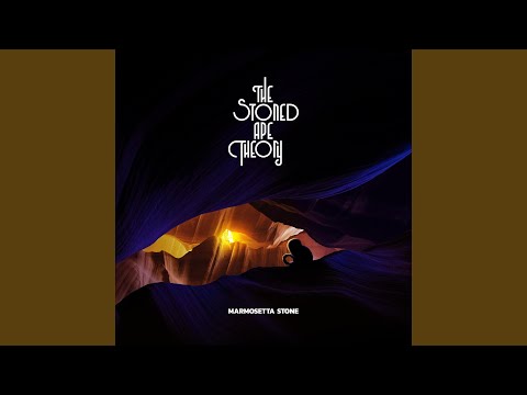 The Stoned Ape Theory - My Attention