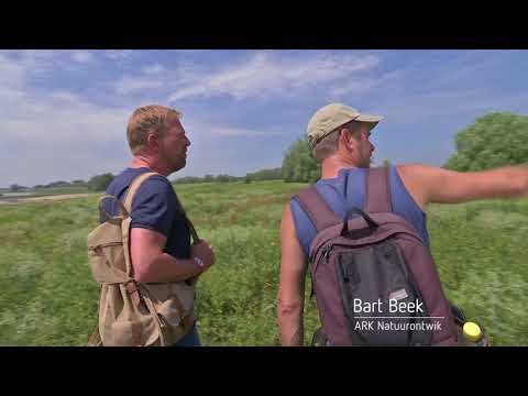 BuitenGewoon 26 augustus | Klompenwaard