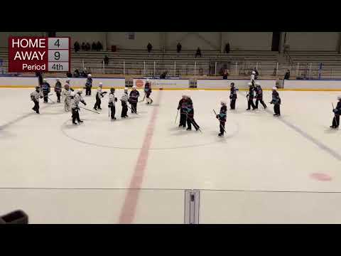 Blue Rings C - KaPa 51 CSarja/Alkusarjan peli 10.11.2024 klo 15 Tuusulassa