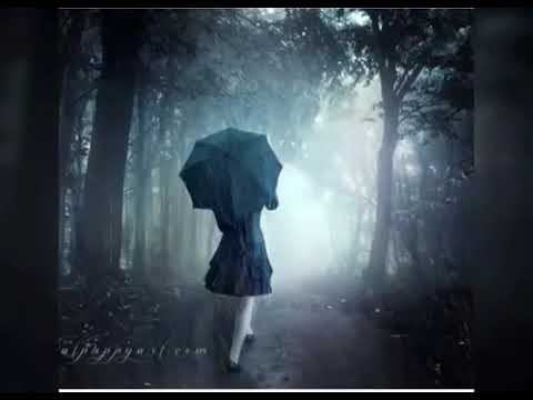 Eritrean old music Feven tsegay ebay shaka