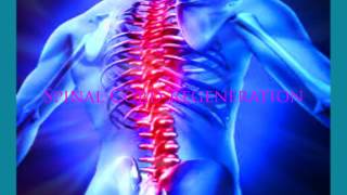 Spinal Cord Regeneration | Spinal Cord Injury Treatment with Binaural Beats & Isochronic Tone |