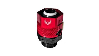 Phenix Exclusive AN-LOK™ Fittings