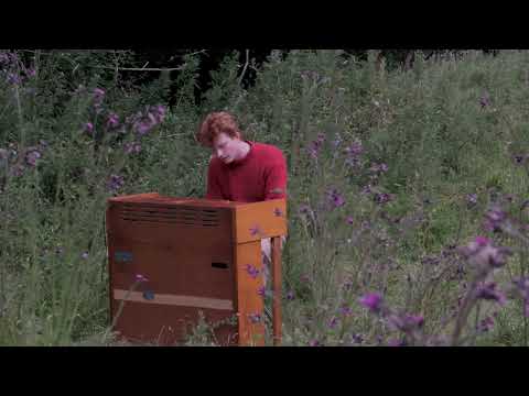 Bingo Fury - Im Not Tied (Official Audio)