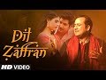 Dil Zaffran Video Song Rahat Fateh Ali Khan Ravi Shankar Kamal Chandra Shivin Palak