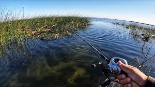 Fishing the legendary Franks Tract