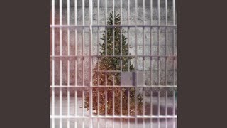 Christmas In A Cell Music Video