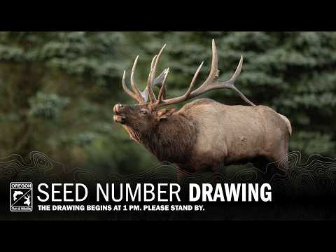 2026 Seed Drawing